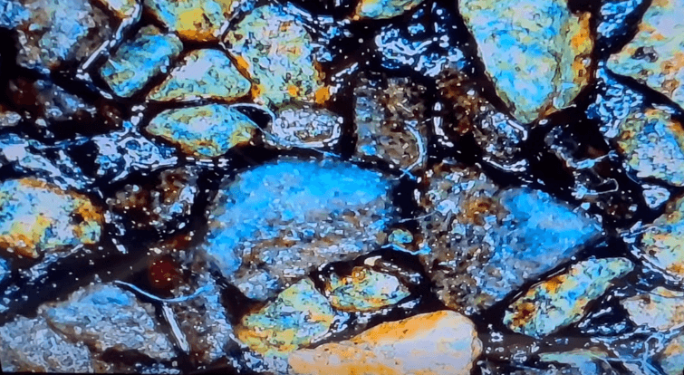 Treated half of a 15-year-old shingle mat, two years after preservation, under magnification